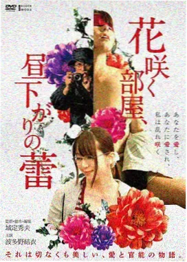 《第七次日落》电影封面